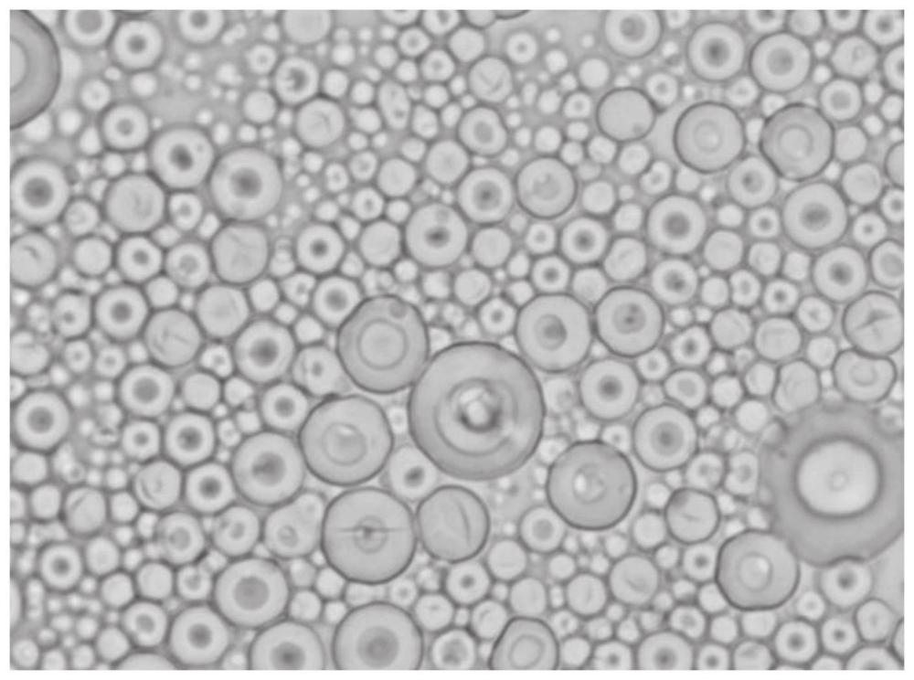 Das neueste Patent für die Herstellungsmethode von sphärischem Silizium-Mikropulver