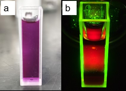 Was sind die Synthesemethoden und Anwendungen von Kohlenstoffquantenpunkten?