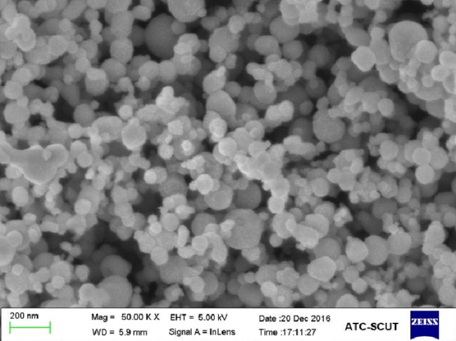 So erstellen Sie 300 nm Kupferpulver nach chemischer Reduktionsmethode